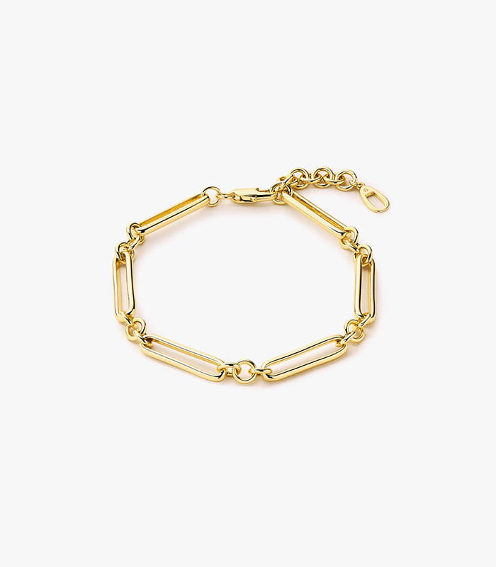 paige gold chain bracelet.jpeg